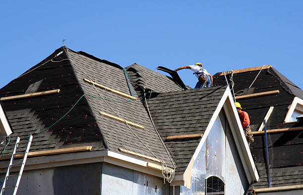 Best Emergency Roof Repair Services  in Estes Park, CO